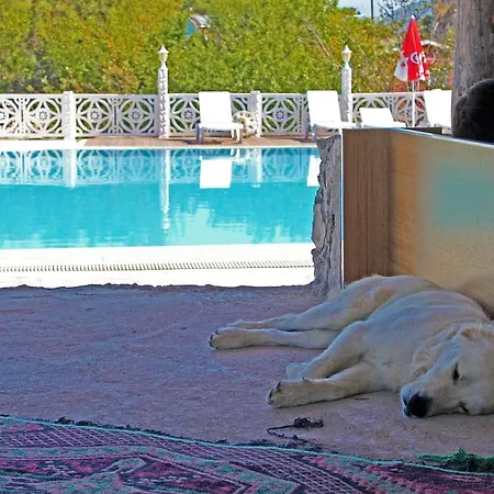 Sultan Motel Ölüdeniz